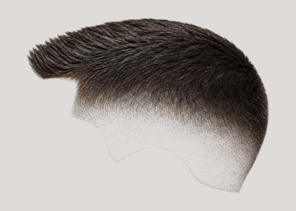 Crew Cut haircut example