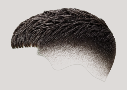 French Crop haircut example