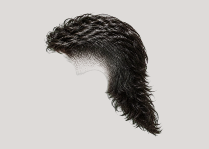Modern Mullet haircut example